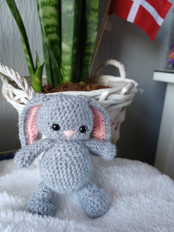 Bunny Rabbit