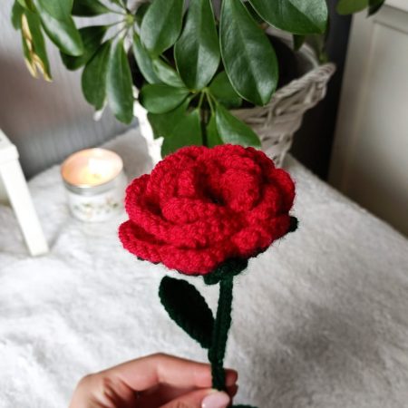 Single Rose