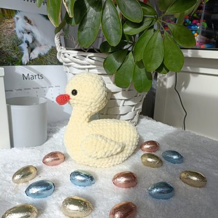 Duckling - Chick